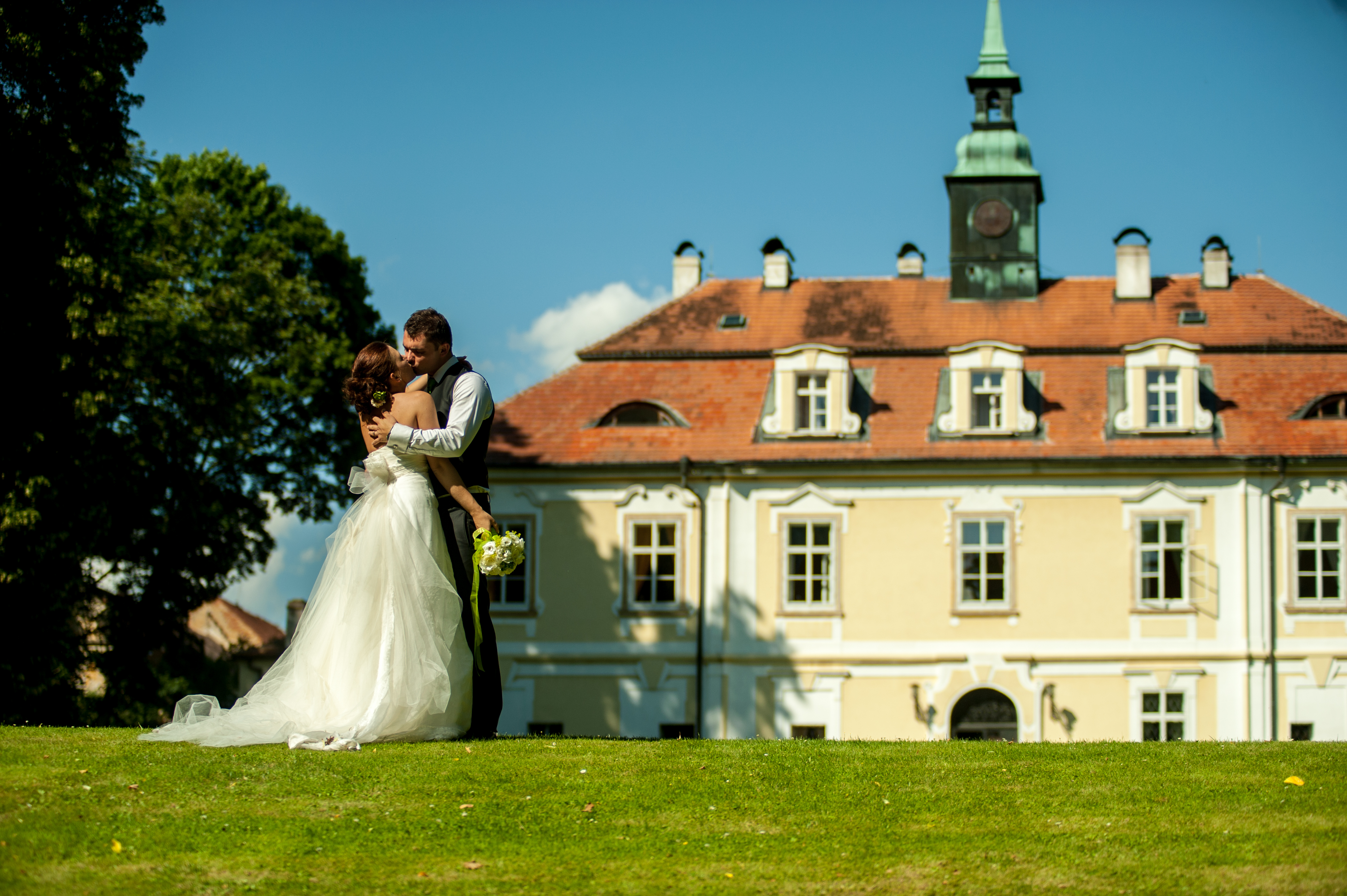 Wedding castle